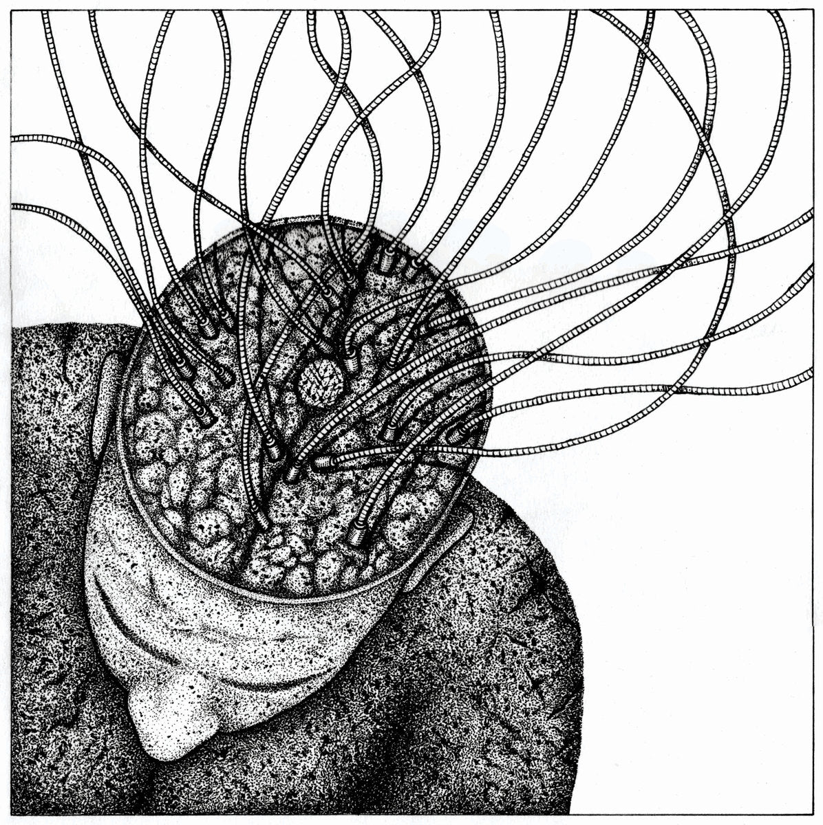 MONOMANIAC Vol. 2 & 3 comp LP feat. WITCHRIST, RAVENCULT, WEREGOAT & more