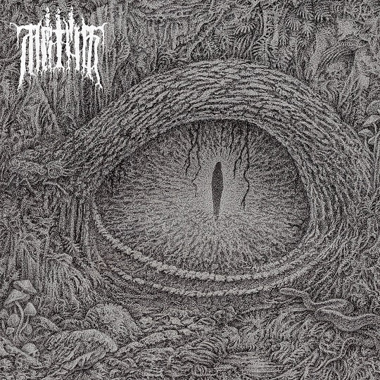 MRTVA VOD Divided in Life LP