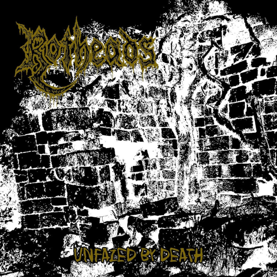 ROTHEADS - Unfazed by Death CD