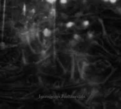DARK OPUS Ignominious Fundamentals MCD