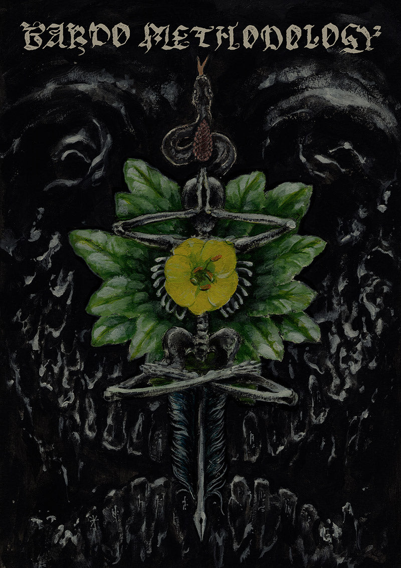 Bardo Methodology #2