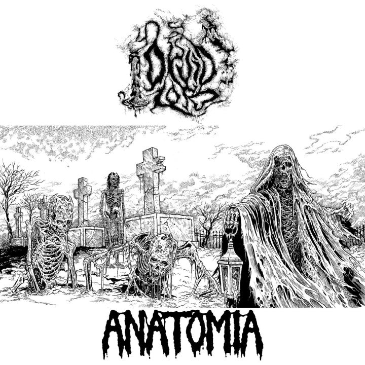 ANATOMIA/DRUID LORD Split 7??