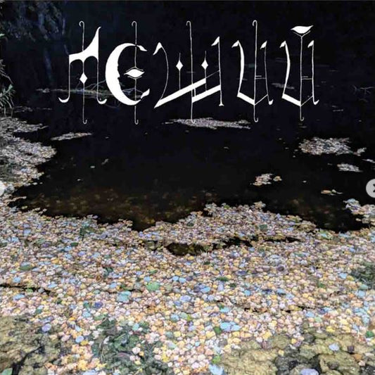 Леший - Почва LP