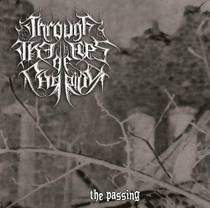 THROUGH THE EYES OF CARRION - The Passing... (CD)