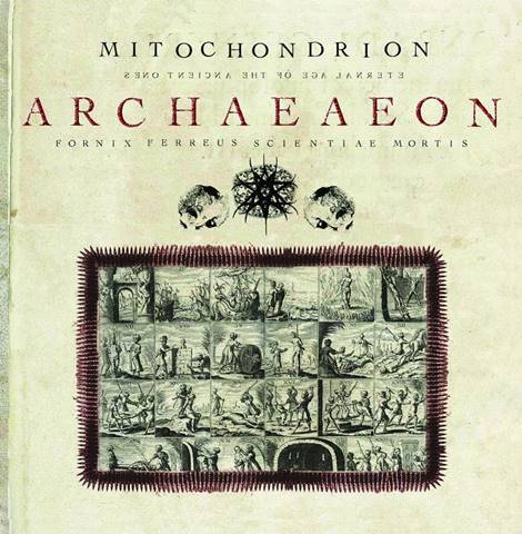 Mitochondrion - Archaeaeon CD