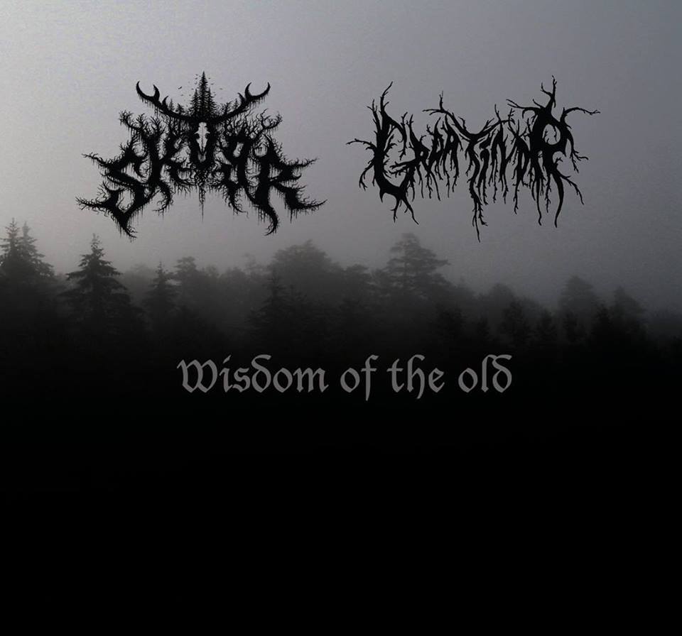 SKOGR (USA)/GRAATINDR (Nor) split - Wisdom of the Old CD