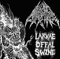 ABHOMINE Larvae Offal Swine CD