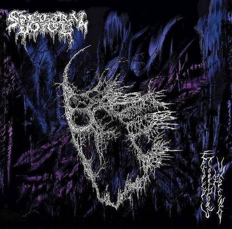 SPECTRAL VOICE Eroded Corridors of Unbeing CD