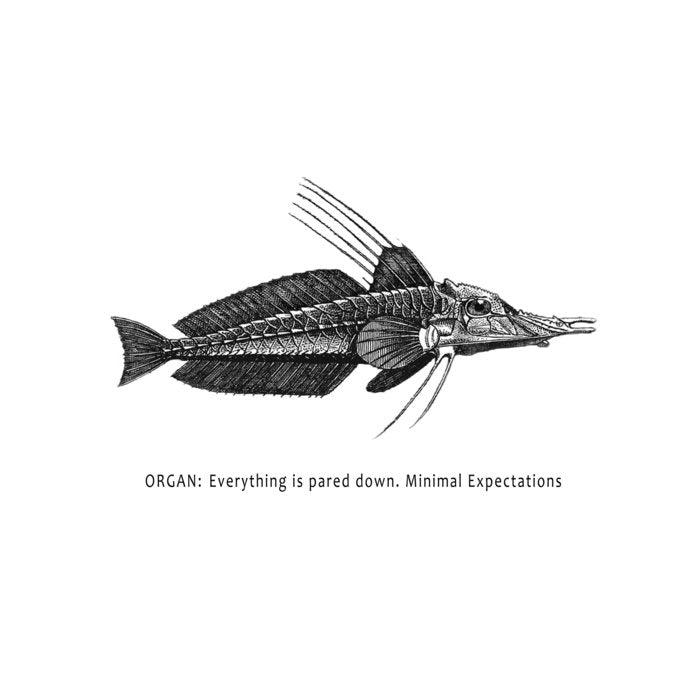 ORGAN Everything Is Pared Down. Minimal Expectations LP 