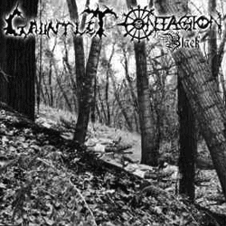 Gauntlet/Contagion Black-Split