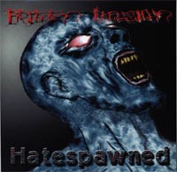 Frozen Illusion - Hate Spawned CD