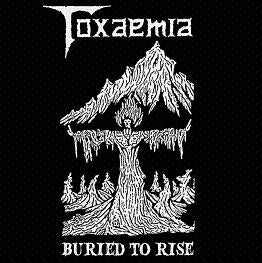 Toxaemia - Buried to Rise 1990-1991 Discography 2CD