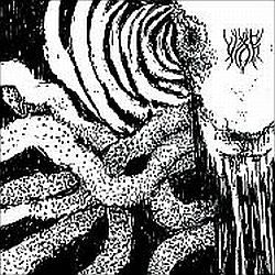 Vidr - Hedensk skikk og tro CD