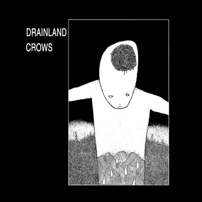 Drainland/Crows - Split