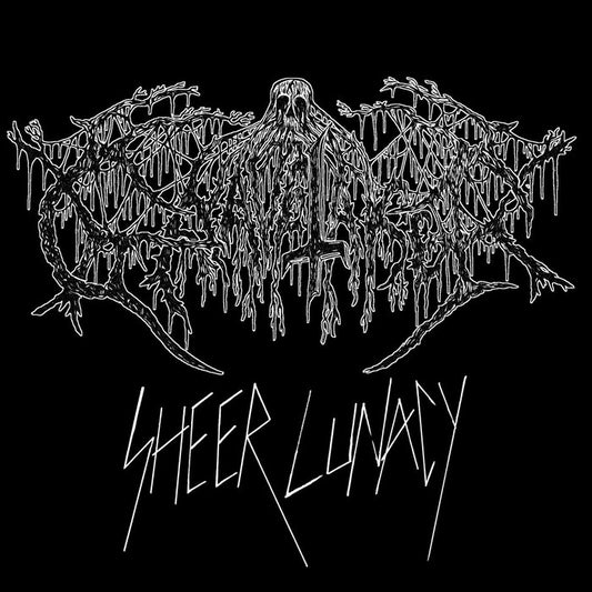 GRAVE TAKER Sheer Lunacy LP